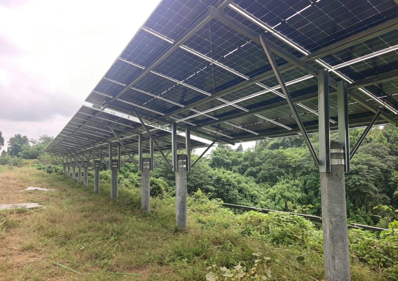 Elevated solar array and mounting structure